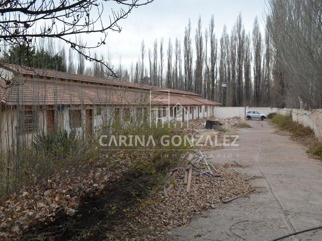 place photo 24