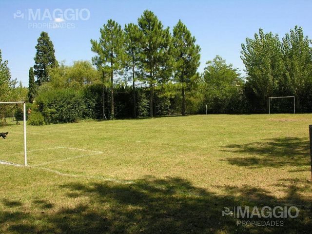place photo 11