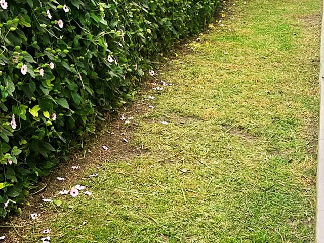 place photo 45