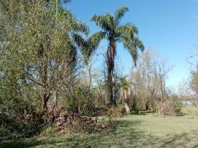 place photo 41