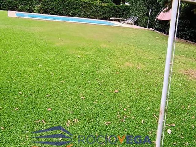 place photo 61