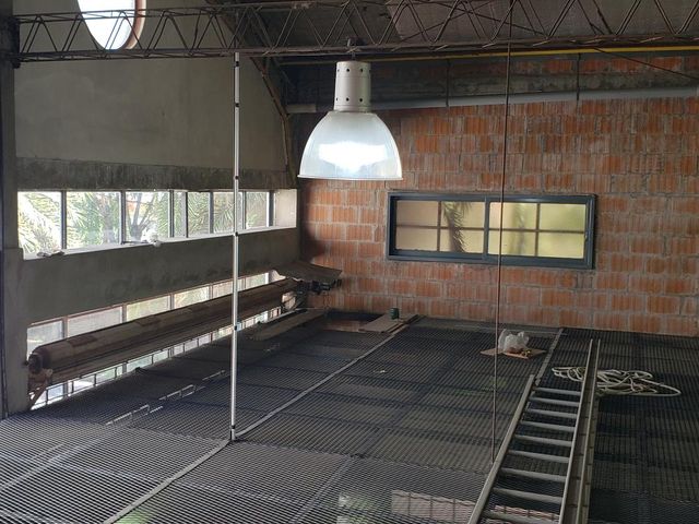 place photo 42