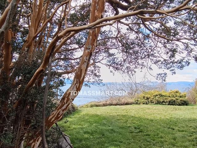 place photo 54