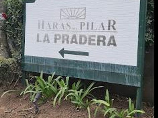place photo 39