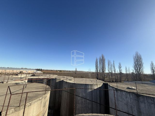 place photo 34