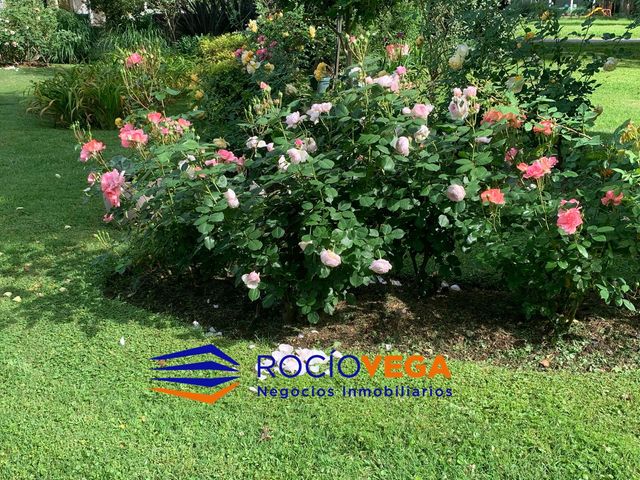 place photo 84