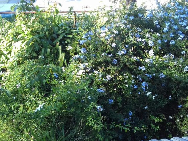 place photo 30