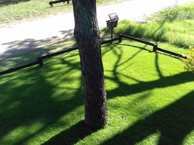 place photo 29