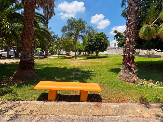 place photo 18