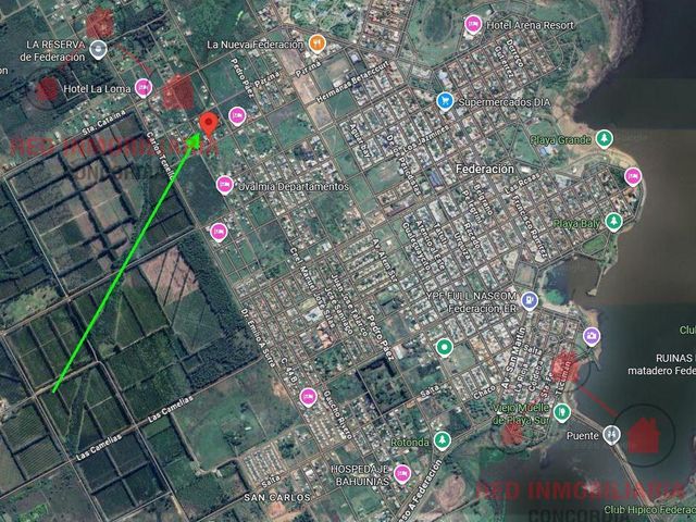 place photo 22