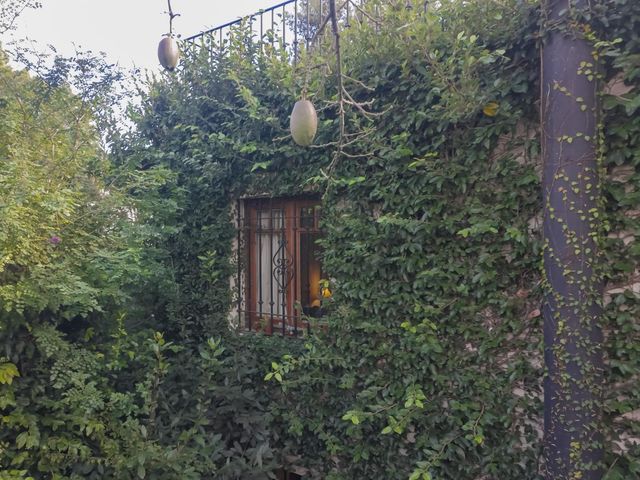 place photo 49