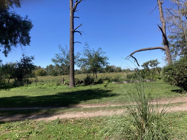 place photo 37