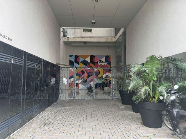 place photo 26