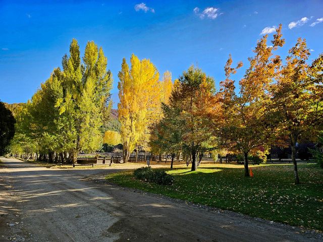 place photo 40