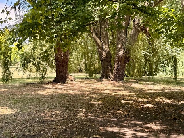 place photo 38
