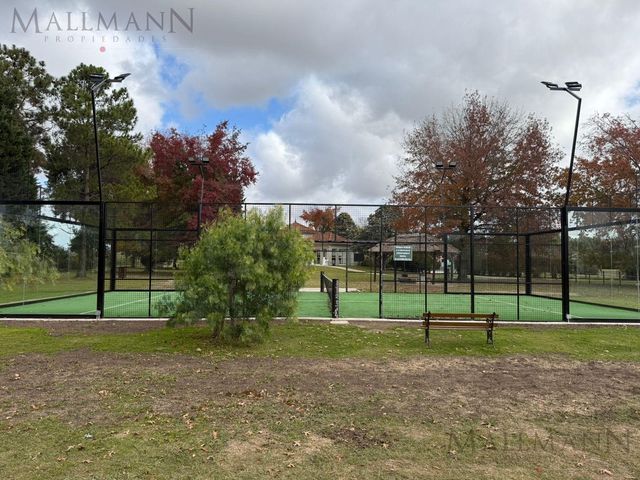 place photo 15