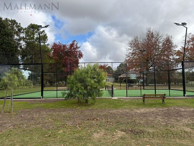 place photo 17