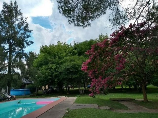 place photo 46