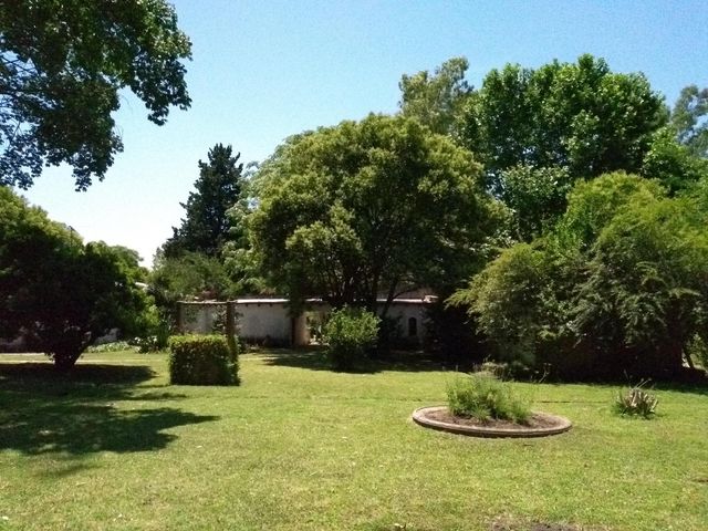 place photo 34