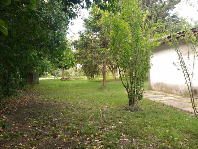 place photo 38