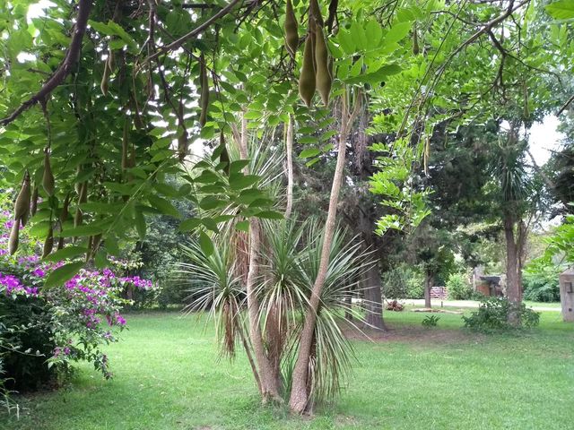 place photo 44