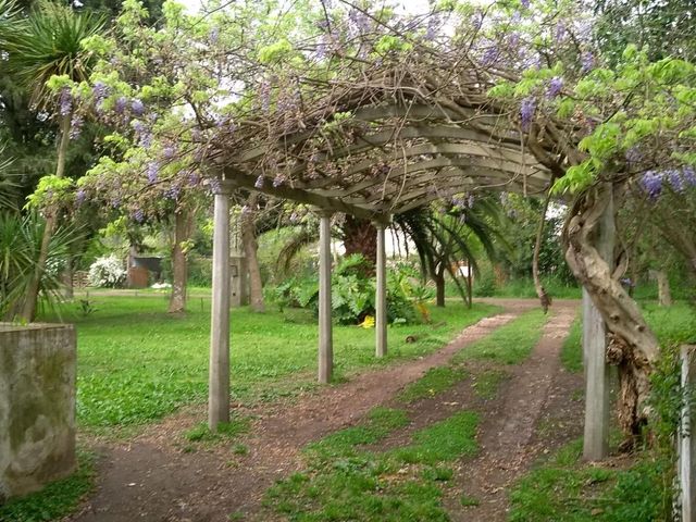 place photo 41
