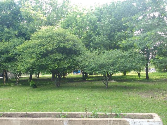 place photo 40