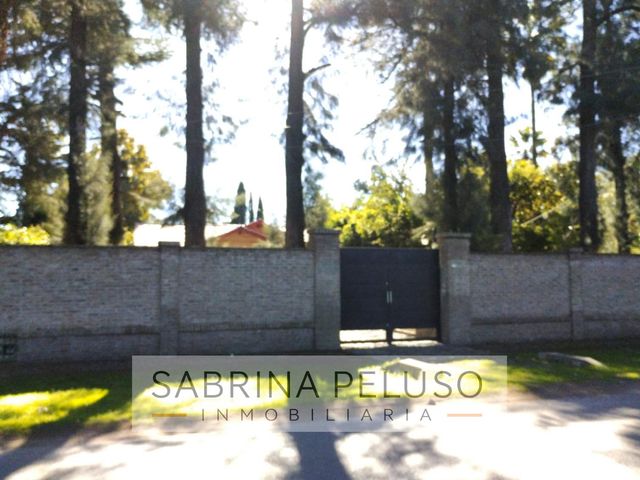 place photo 48
