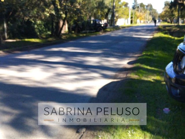 place photo 49
