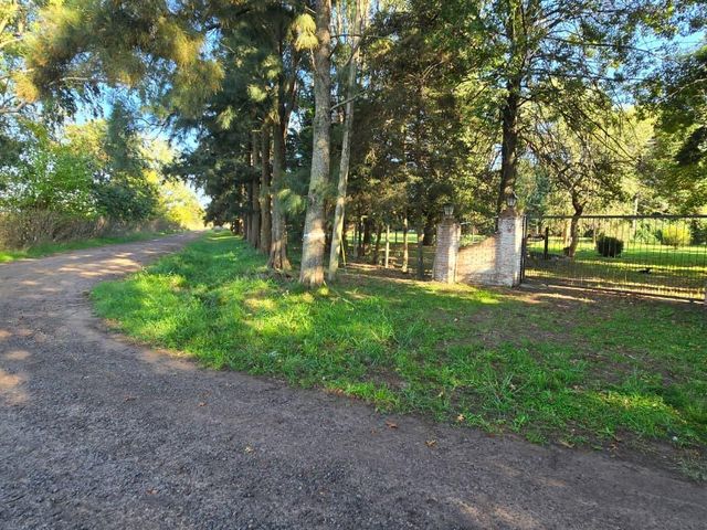 place photo 26