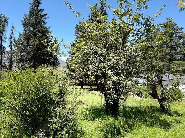 place photo 27
