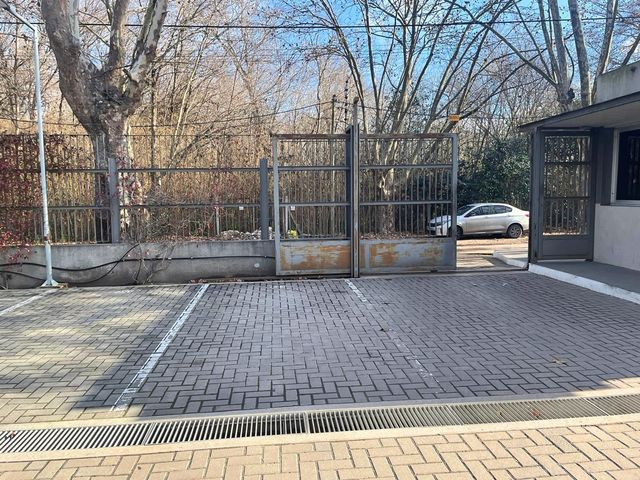 place photo 39
