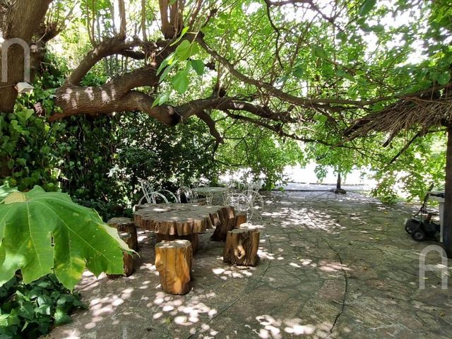 place photo 22