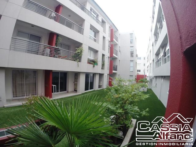 place photo 24