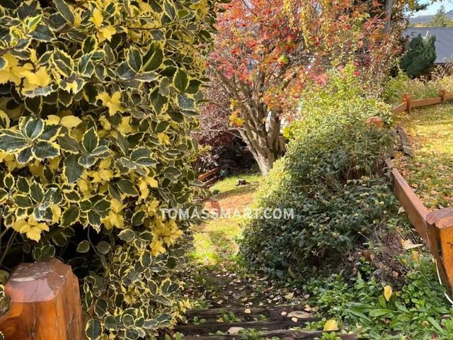 place photo 43