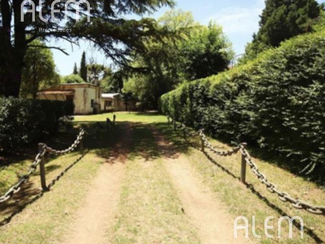 place photo 13