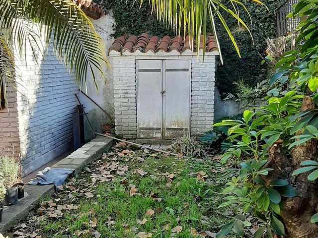 place photo 34