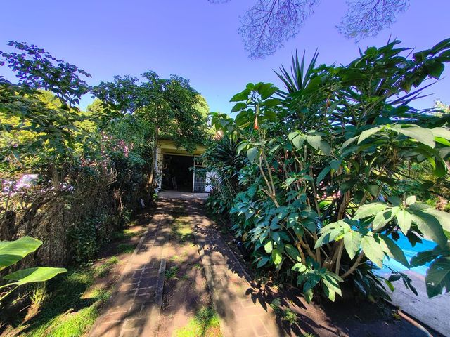 place photo 39