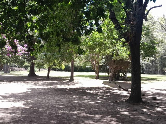 place photo 31