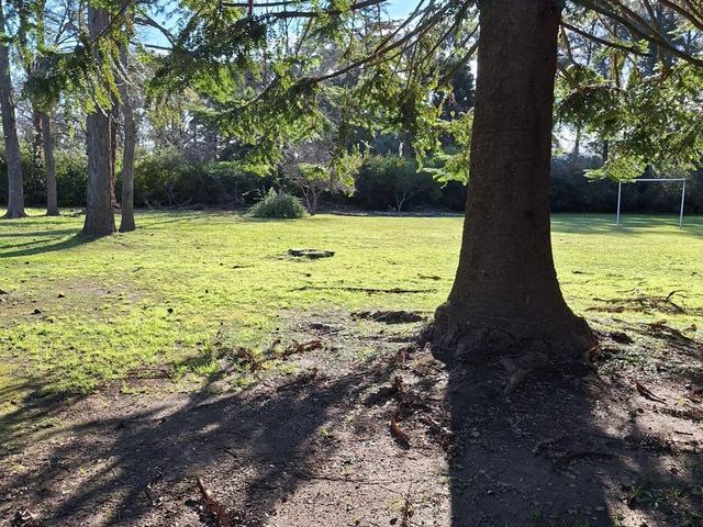 place photo 28