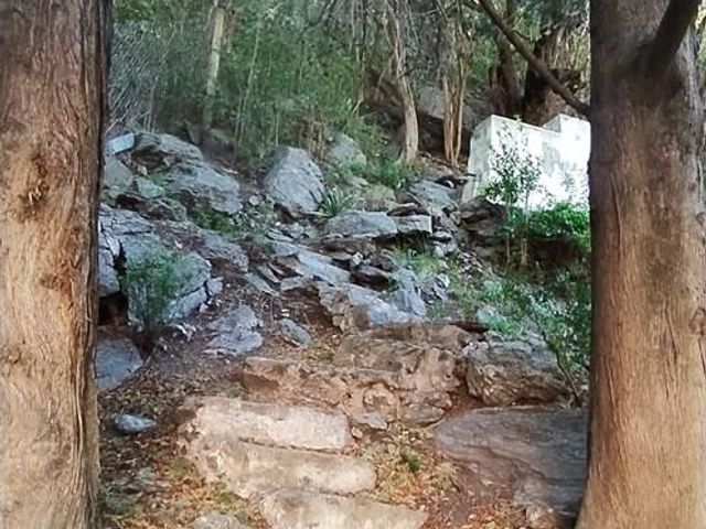 place photo 17
