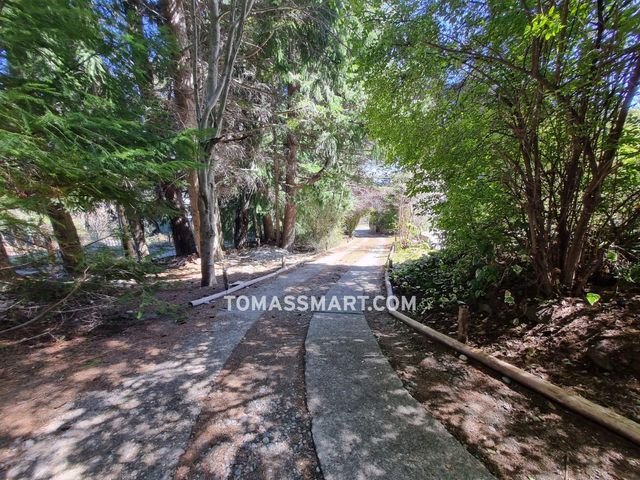 place photo 41