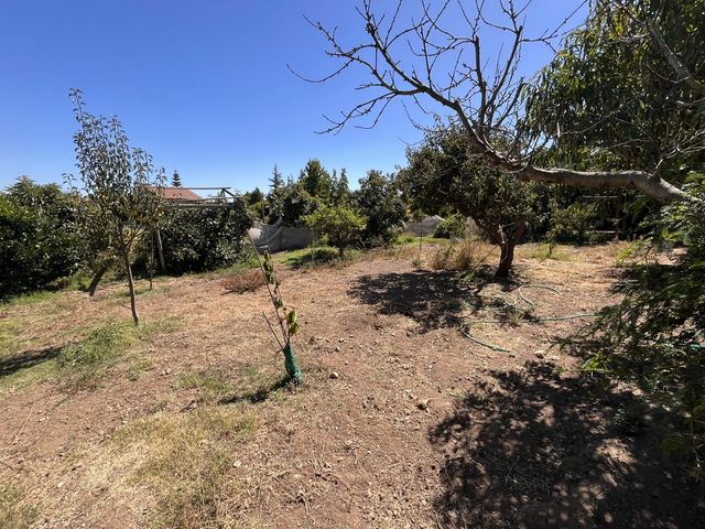 place photo 43