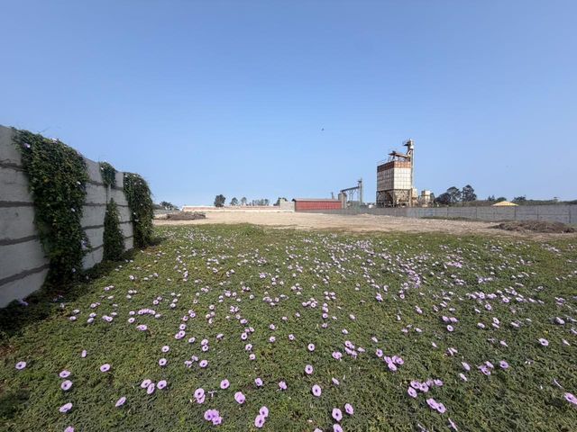 place photo 9