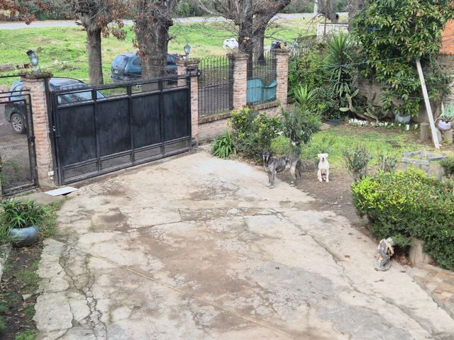 place photo 32