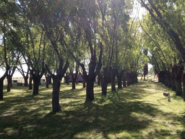 place photo 81