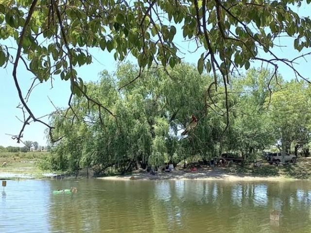 place photo 83