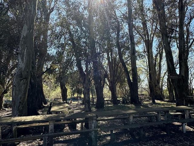 place photo 71