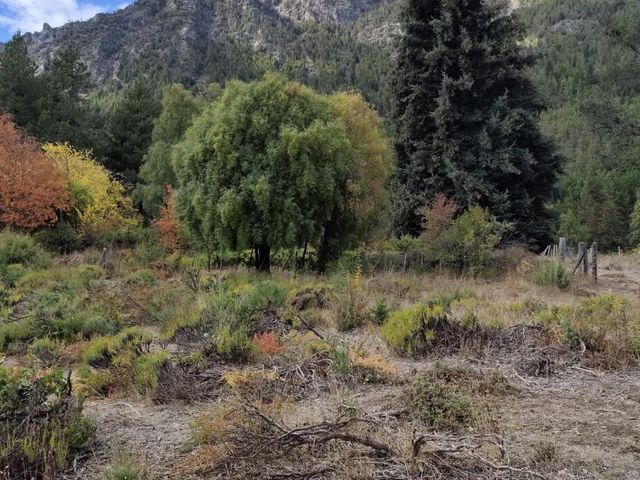 place photo 26