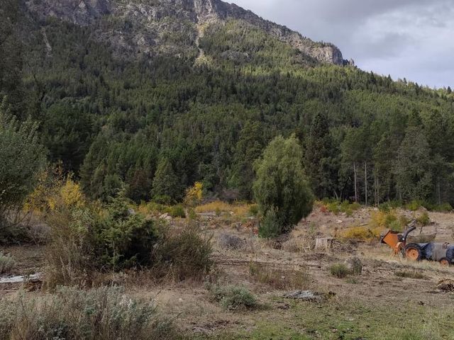 place photo 22